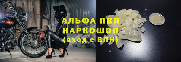 винт Алзамай