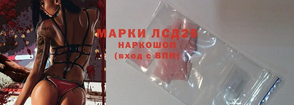 мет Алексин