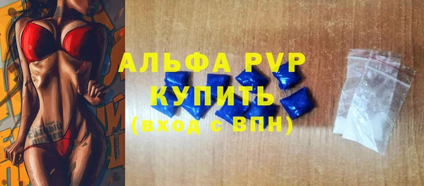мет Алексин