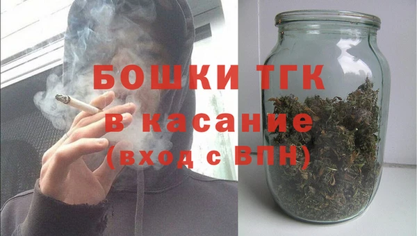 мет Алексин