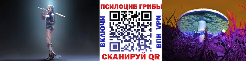 Псилоцибиновые грибы Psilocybine cubensis закладка hydra маркетплейс Жуков